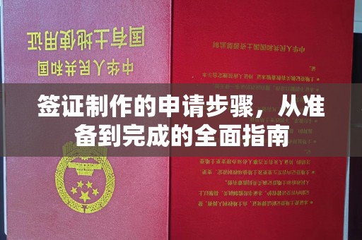 云城签证制作的申请步骤，从准备到完成的全面指南