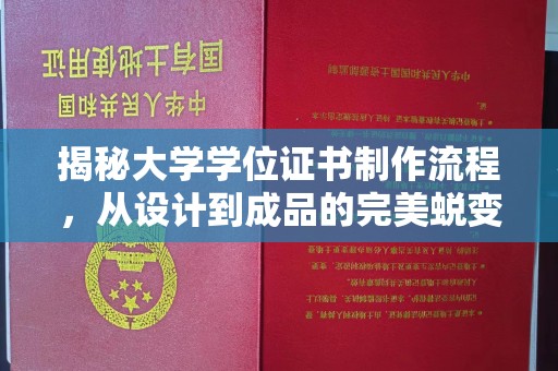 芦山揭秘大学学位证书制作流程，从设计到成品的完美蜕变